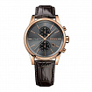Часы мужские Hugo Boss HB1513281
