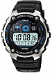 Часы мужские Casio AE-2000W-1A